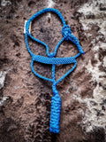 Flat Braid Halter with 8ft Lead - Blue - Halters & Leads - Cashel Company - Bronco Western Supply Co.