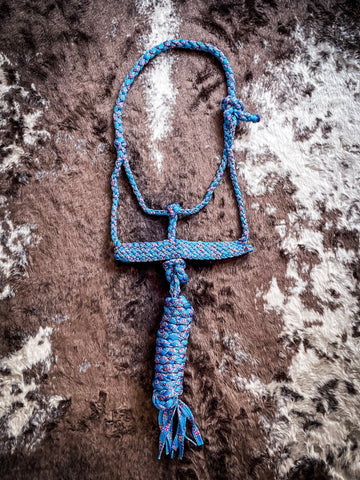 Turquoise Funfetti Mule Tape Halter with Lead - Halters & Leads - Tough 1 - Bronco Western Supply Co.